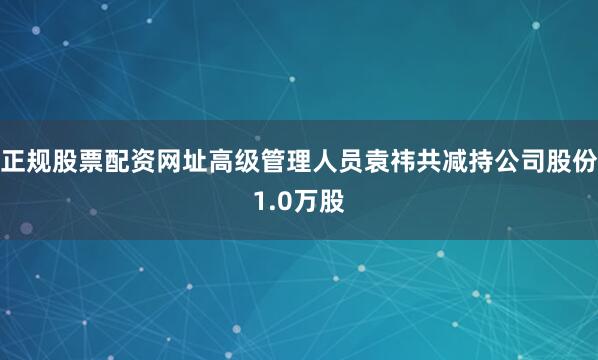 正规股票配资网址高级管理人员袁祎共减持公司股份1.0万股