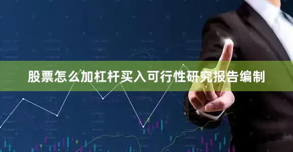股票怎么加杠杆买入可行性研究报告编制