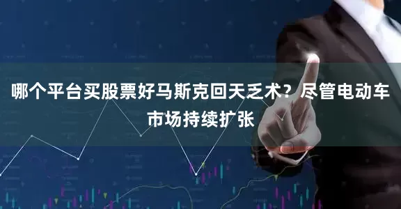 哪个平台买股票好马斯克回天乏术？尽管电动车市场持续扩张