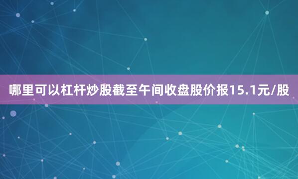 哪里可以杠杆炒股截至午间收盘股价报15.1元/股